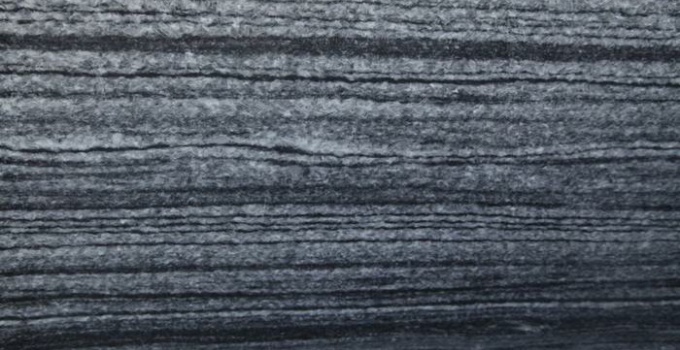 ZEBRA BLACK